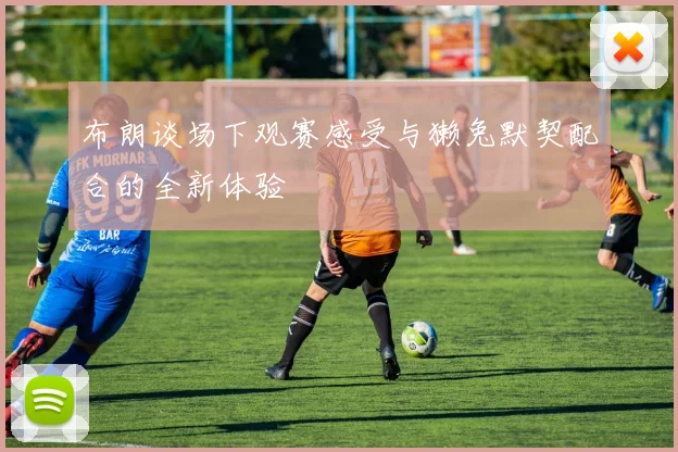 布朗谈场下观赛感受与獭兔默契配合的全新体验