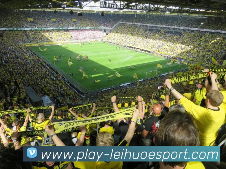 多媒体互动体验